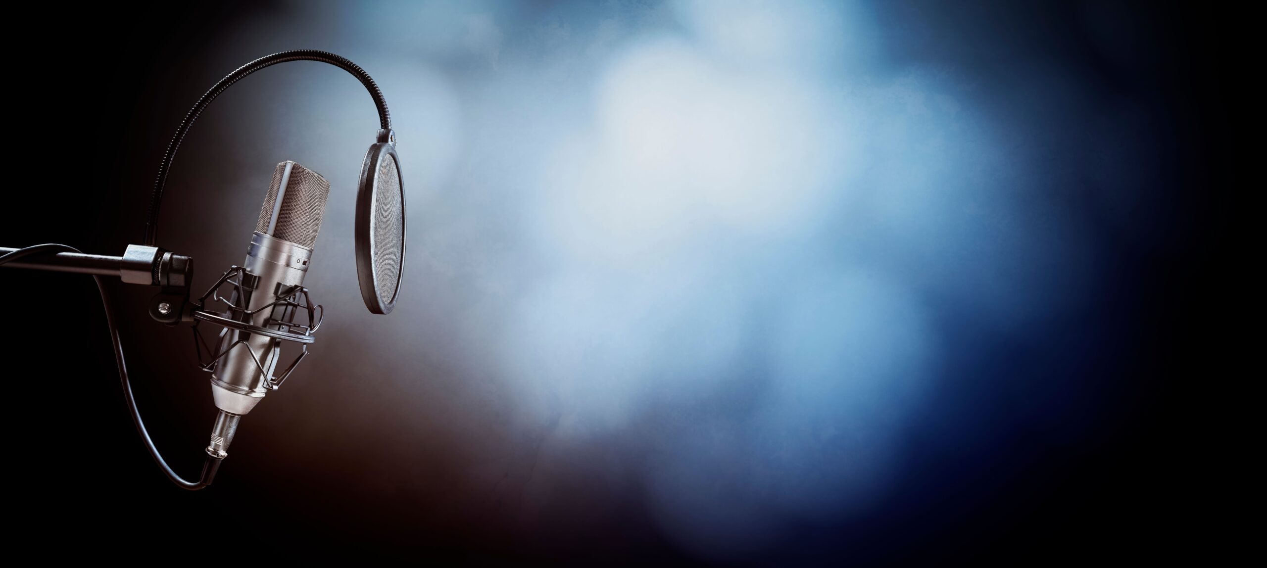 ZZP Update met Cristel van de Ven | New Business Radio